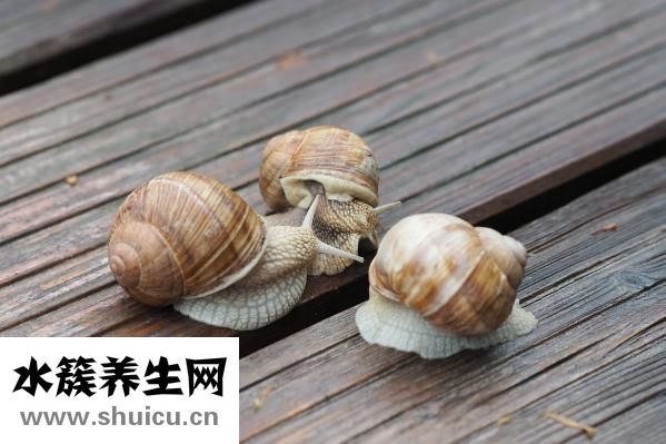 粘液性腫瘤