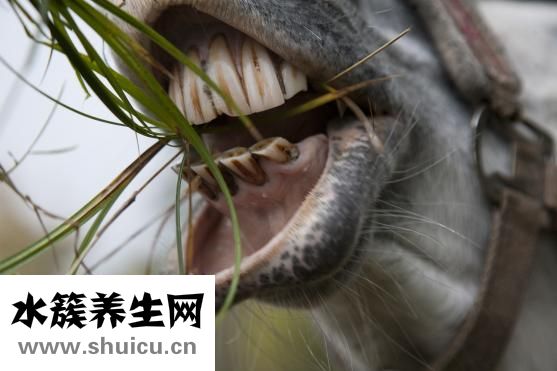 下顎關節炎