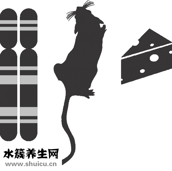 胃有點脹氣怎么辦
