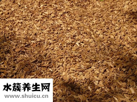 洋蔥怎么切絲