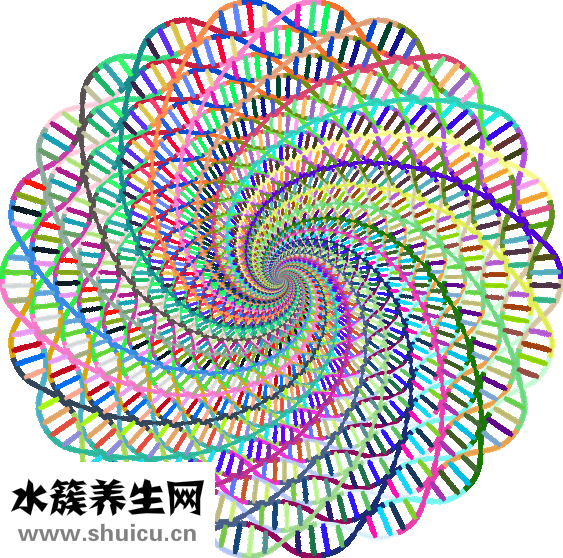 煙酰胺核糖