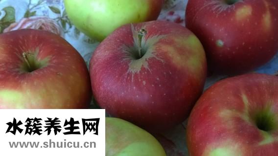 生菜的熱量