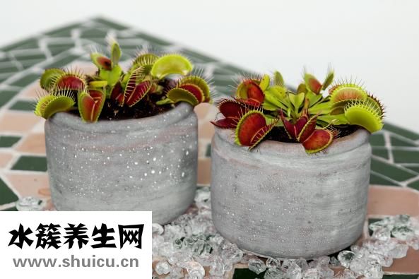 滅蚊燈效果