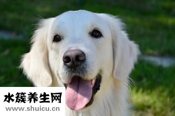 腰椎穿刺疼嗎