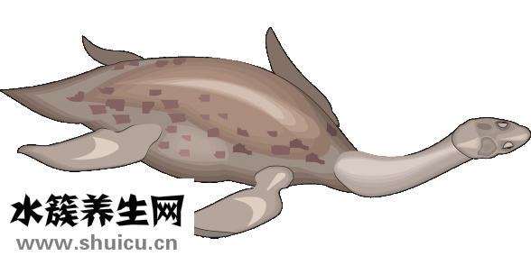 斜頸怎么治