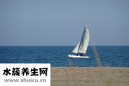 臀部吸脂塑形
