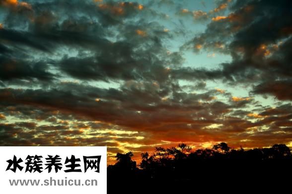 曬太陽過敏