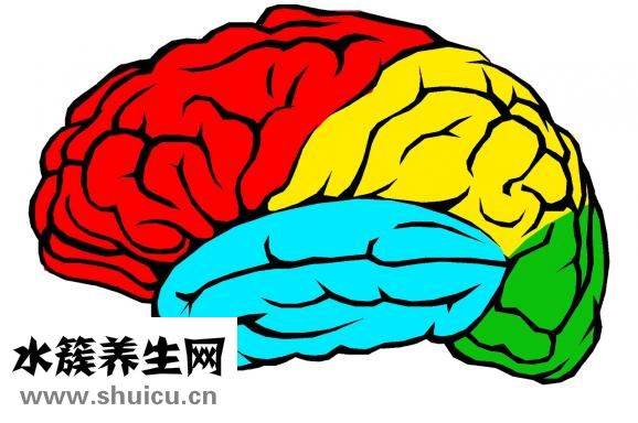 小腦扁桃體疝
