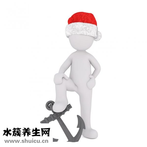 羊蝎子是什么