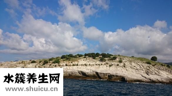胰島功能檢查