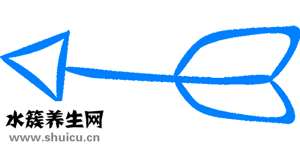 手掌發青的圖片