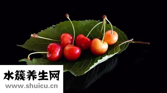 仙人球花圖片