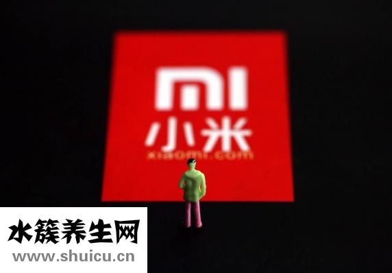 養胃小米粥