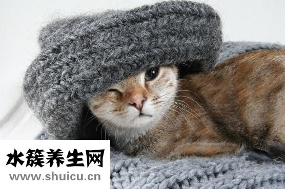 頭發油是怎么回事
