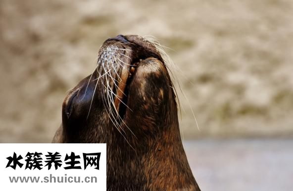胃竇炎的癥狀