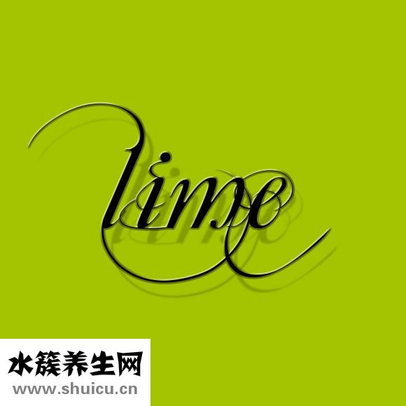 女貞子樹圖片