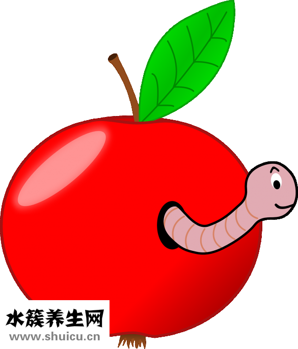 松鼠可以吃嗎