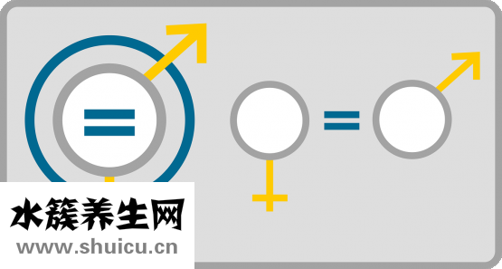 孕檢怎么檢查