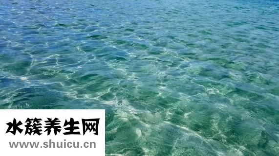 羊腿怎么燉