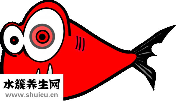 小孩換牙時間