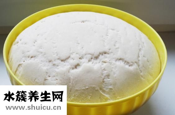 松鼠可以吃嗎