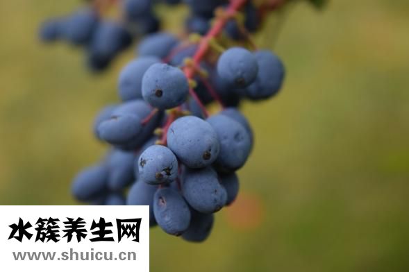 姨媽顏色深