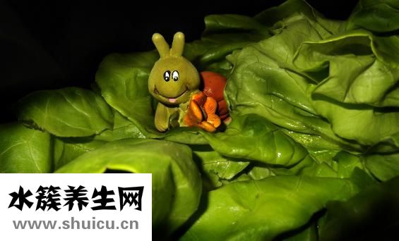 萵筍燒肚條