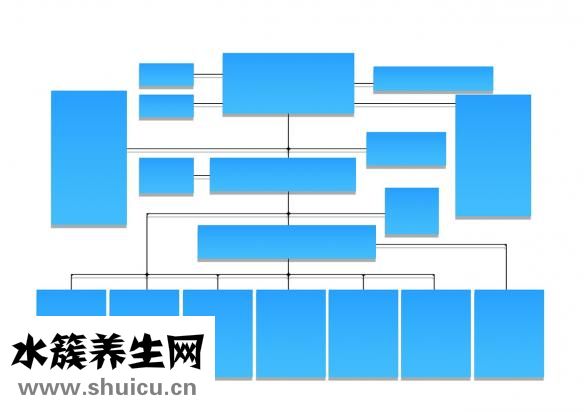 胃的位置圖