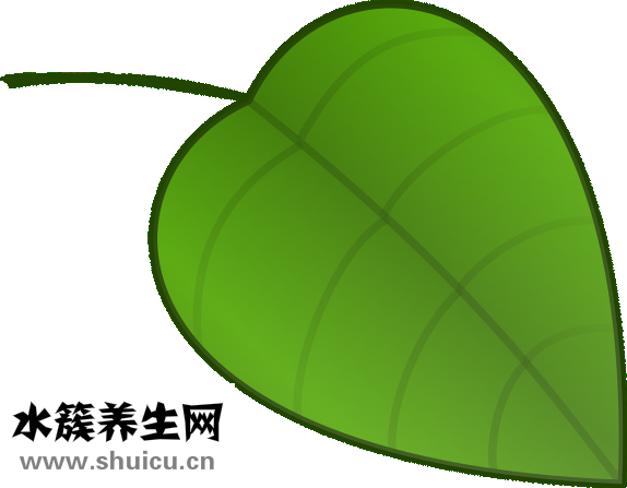 下肢靜脈曲張