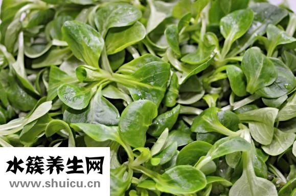 萵筍燒肚條