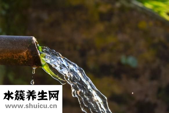 十大補鈣食物排行榜