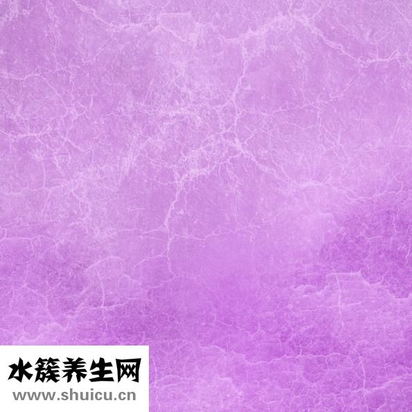 一斤雞蛋多少個