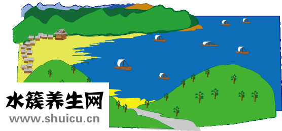胃的位置圖
