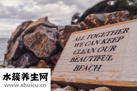 腎素的作用