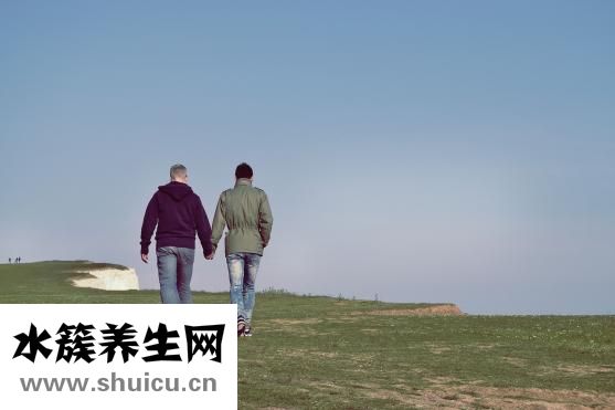 神應養真丹