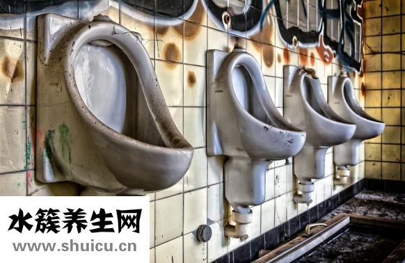 透骨草的圖片