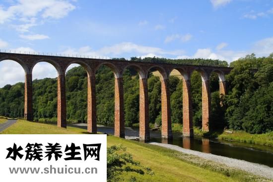 條口透承山