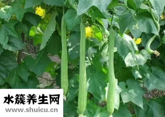 頭疼惡心嘔吐