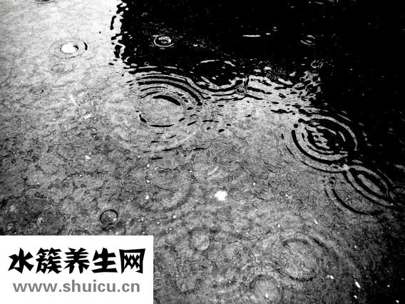 胸腺瘤手術