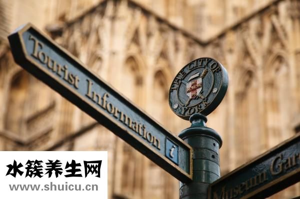 雙眼皮基因