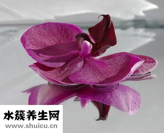 微創無痛人流