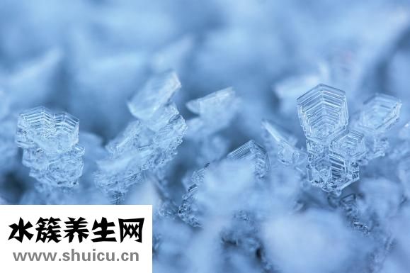 怎樣喝普洱茶