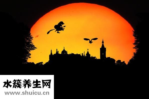 瀉肝安神丸