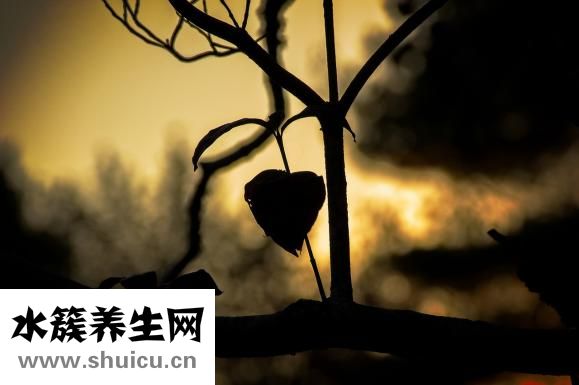 細菌性感冒會傳染么