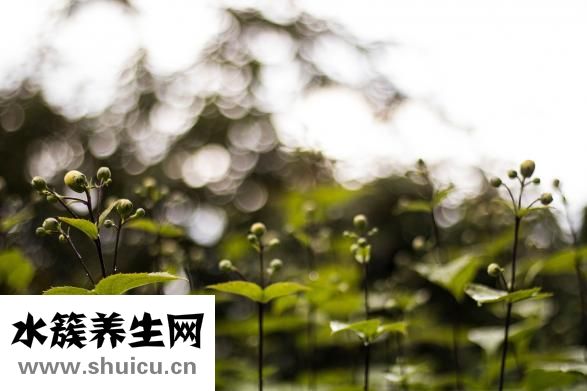 脫皮怎么辦