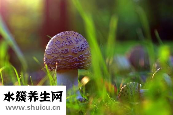 砷中毒的癥狀