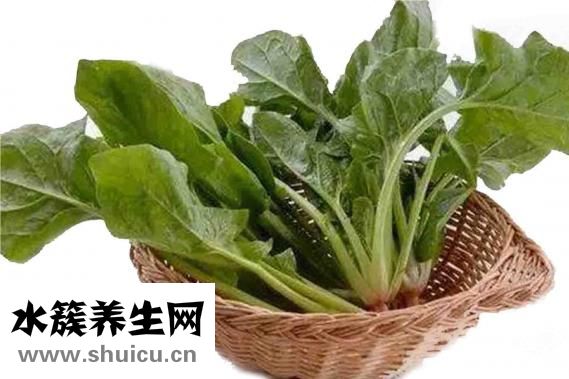 素食減肥食譜