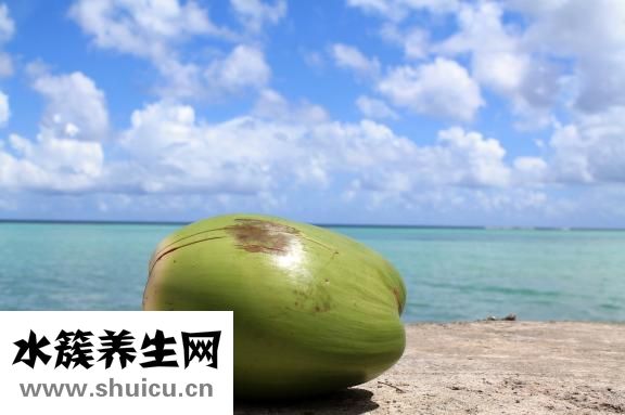 椰子營養價值