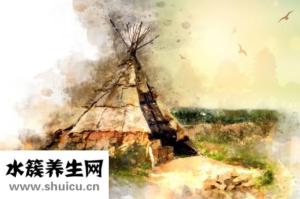 西洋參燉雞