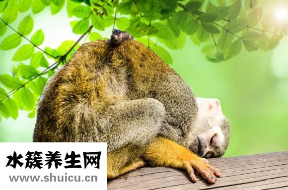 砷中毒的癥狀